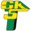 GKS卡托威斯女足